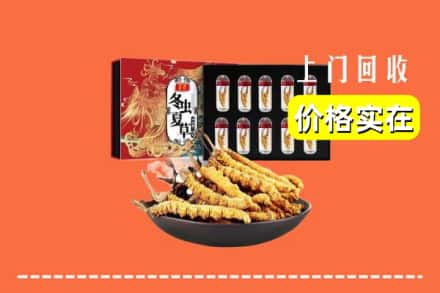 什邡市回收冬虫夏草
