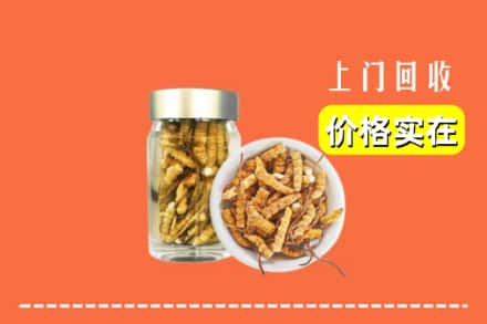 什邡市回收散虫草