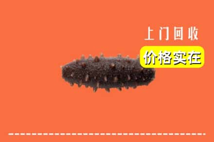 什邡市回收海参