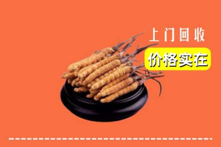 什邡市回收冬虫夏草